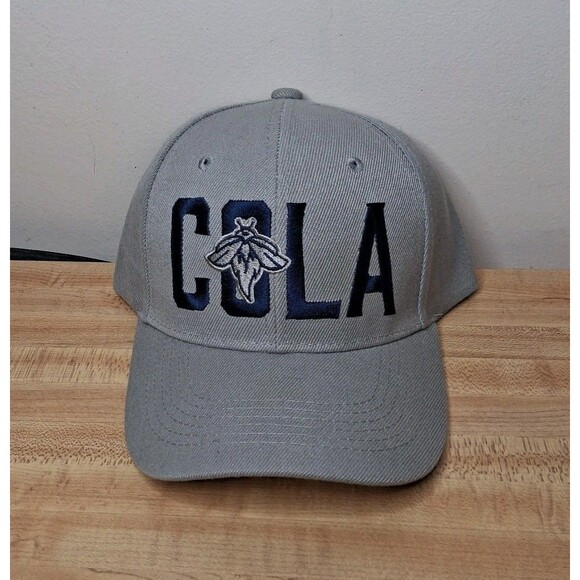 Columbia Fireflies New Hat Men’s Gray Strapback Embroidered Baseball MiLB - Picture 1 of 3
